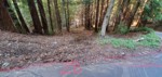 Restore destroyed curb so water doesn't leave road destroying land (illegal erosion per county laws, and damaging Ols property), and occasionally mud-flooding Spring Rd which they had to clear with Bobcat yrs ago.