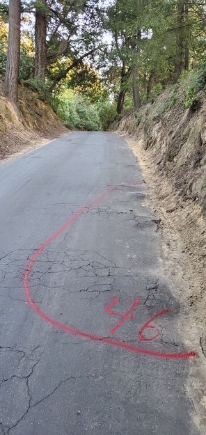 Not large tree root bumps, but at the very top of our road, and they shall crack new slurry seal soon.