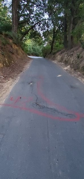 Large tree root bumps destroying asphalt at the very top of our road, and they shall crack new slurry seal very soon.